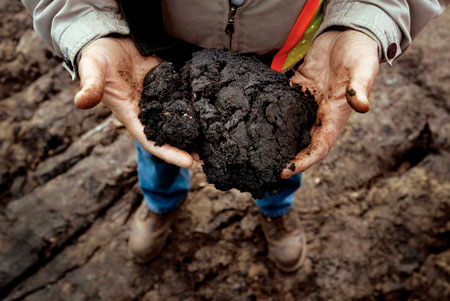 tar-sands-in-hands1.jpg tar-sands-in-hands1.jpg