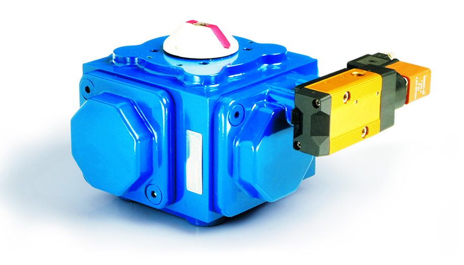 Indelac IP Series with Namur Interface