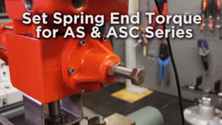 Spring End Torque Adjustment for AS & ASC Series